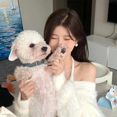 完美的他人